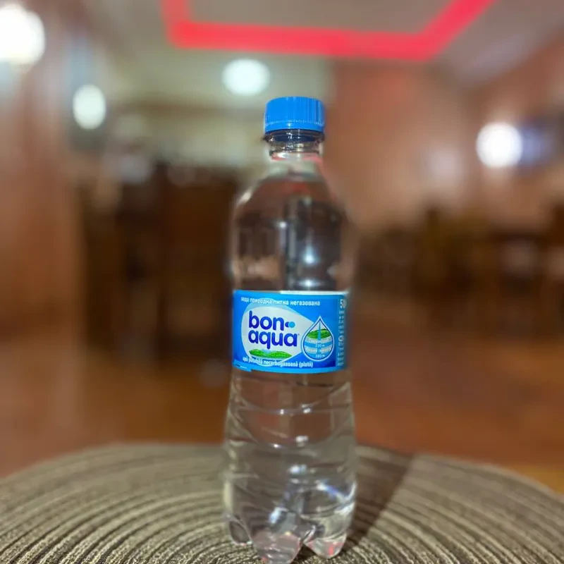 Вода мінеральна негазована